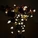 Ehome Solar String Light, 50LED 23FT Outdoor Waterproof Flower Light with Light Sensor for Garden Wedding Party Festival Decor (Warm white)