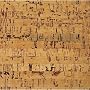 Cork Tile Flooring (Coral