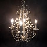 �V�����f���A�@4���C�gW