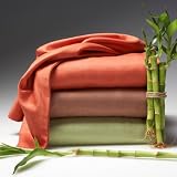SIS Covers 300 Thread Count Bamboo Sheet Set Size-Color - Queen - Olive
