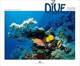 Dive 2009. Tauchsport international