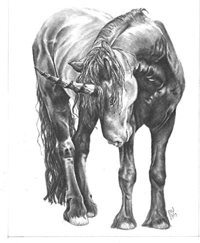 Art print, Unicorn in Pencil,