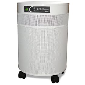 Airpura Industries H600 Air Purifier 40 Square Feet of True HEPA is Designed for Powerful Particle Filtration