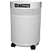 Airpura UV600 Air Purifier for Airborne Chemicals, Particles, Micro-organisms