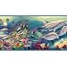 Dolphin Encounter Wallpaper Border