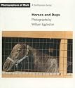 HORSES & DOGS PB (Photographers at Work)