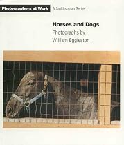 HORSES & DOGS PB (Photographers at Work)