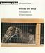 HORSES & DOGS PB (Photographers at Work)