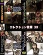 ベリーウエル コレクション楼蘭 12(DVD)[VW]DFO-12