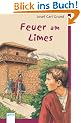 Feuer am Limes