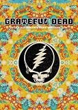 GRATEFUL DEAD - AT OLD RENAISSANCE FAIRE GROUNDS, 1972