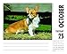 2016 Just Corgis Box Calendar