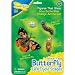 Life Cycle Stages Butterfly