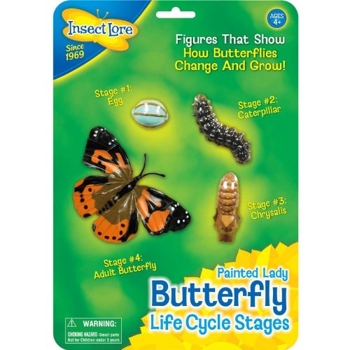 Butterfly Life Cycle Stages Characters, Plastic - 4 Piece Set; no. ILP4760