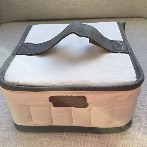 Essential Oil Carrying Case, Holds up to 42 Bottles of doTerra Oil (15mL)