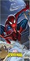 Spiderman Web Party Banner