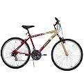 San Francisco 49's Bike 26 in