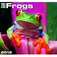 Frogs Calendars