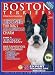 boston terrier - Boston Terriers