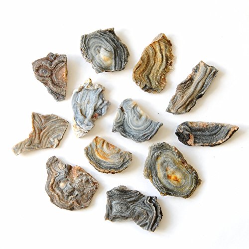 12 pcs 1.5-2" natural thin agate for jewelry maker…