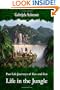 Past Life Journeys of Gea and Zen: Life in the Jungle