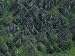 Aerial View of the Marang Mountains, Pushing Through a Jungle Blanket Photographic Po...