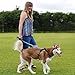 Best Dog Harness with Reflective Material Keeps Your Pet Safe While Walking and Car Rides, Instructional Guide on Product Tips, Use and FAQs Included by Roughtail Pet Supplies, Size Large, Color Black
