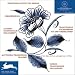 Traditional Dutch Tiles Designs (Agile Rabbit Editions)