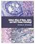 Colour Atlas of Bone, Joint, and Soft Tissue Pathology