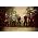 Vignette de Kutless