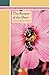 The Keeper of the Bees (Library of Indiana Classics)