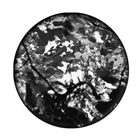 Leaves 1 - Super Resolution Gobo