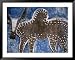 Cow on a Graveyard Headstone near an Oromo village, Ethiopia Framed Art Poster Print by Janis Miglavs, 49x39