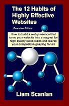The 12 Habits of Highly Effective Web Sites, Executive Edition: Managing your PageRank and Keywords to get your product or service on Page One of search results