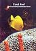 Relaxation: Coral Reef (The Fascinating Underwater World)
