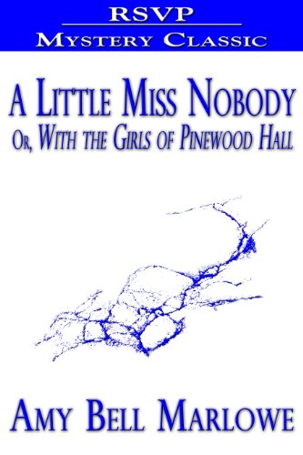 A Little Miss Nobody