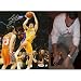 Jordan Farmar (Los Angeles Lakers) Signed Autographed Photo (PSA/DNA COA)