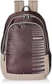 Aristocrat Purple Casual Backpack (BPPEP1PPL)