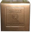 Attitude Line Dead Sea Night Nourishing Moisturizer + DMAE