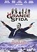 La Grande Sfida (SLIM)