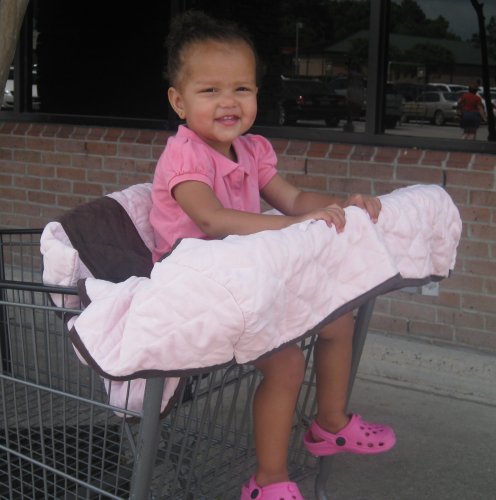 Picture of Cozy Nursery-To-Go Grocery Cart Cover, Pretty and Pink GC PRETTY (Baby Shopping Cart Covers)