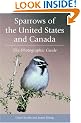 Sparrows of the United States and Canada: The Photographic Guide
