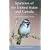 Sparrows of the United States and Canada: The Photographic Guide