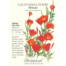 California Poppy Seeds 500 Seeds