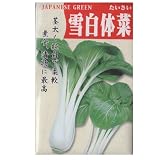 在来固定種　野菜の種「雪白タイサイ〔しゃもじ菜〕」5ml１４００粒　畑懐〔はふう〕