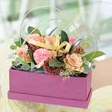 �ԍH�[�ԑ���G�[�f�����C�X �t�����[�M�t�g RoseBox�v�����Z�X�Z�W�s���N�o���A�����W