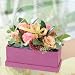 �ԍH�[�ԑ���G�[�f�����C�X �t�����[�M�t�g RoseBox�v�����Z�X�Z�W�s���N�o���A�����W