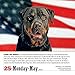 365 Dogs 2015 Calendar