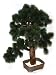 Artificial Japanese Bonsai Tree hand built with natural bark 80cm