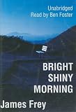 Bright Shiny Morning